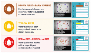 Tiered Alert System